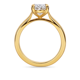 Emerald-Cut Solitaire in Cathedral Setting